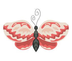 red and white butterfly