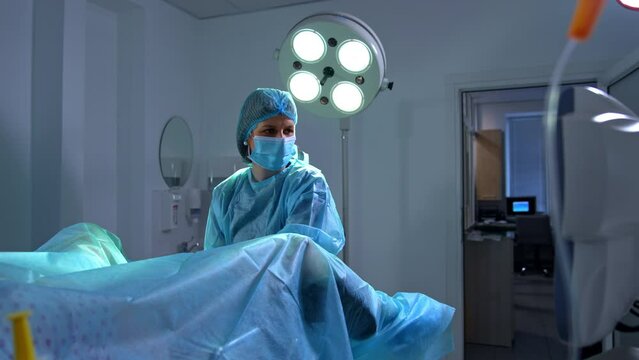 Female doctor examining the patient in her cabinet. Professional looks at the screen of ultrasound checking the inner organs condition.