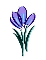 Crocus flower logo. Saffron icon. Blooming flora spring. Beautiful spring flower.