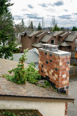 Winter storm debris on an apartment building roof, large fir tree branch blown down during a wind storm