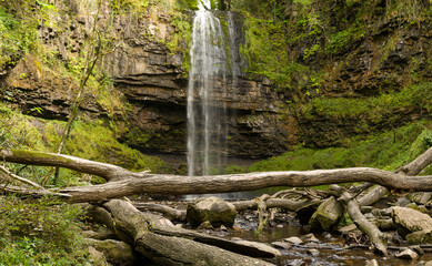 Beautiful waterfall surrounded by green foliage in a small valley (Henrhyd Falls)