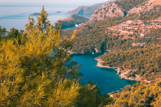 Azure sea bay, blue ocean gulf. Backpack path in tropical mountains.  blue sky on the horizon. Start of the adventures on the trail. Semi-desert landscape and fir trees.