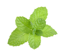 Peppermint  transparent png