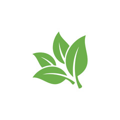 Natural Green Leaf Icon Vector Template