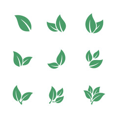 Natural Green Leaf Set Icon Vector Template