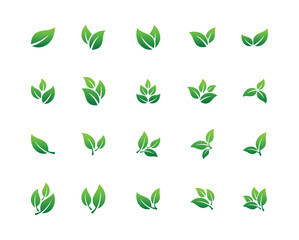 Natural Green Leaf Set Icon Vector Template