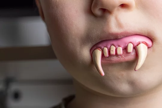 Close up of toy vampire teeth in child's mouth for Halloween