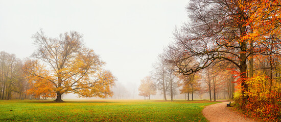 Autumn landscape, panorama, banner - view of a foggy autumn park with paths and fallen leaves in the early morning