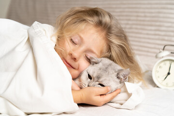 Fototapeta na wymiar little blonde girl sleeps with white Scottish cat, good morning