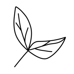 outline leaf icon