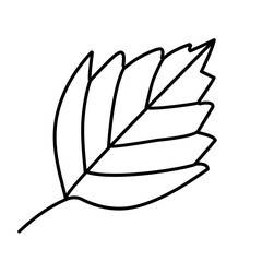 outline leaf icon