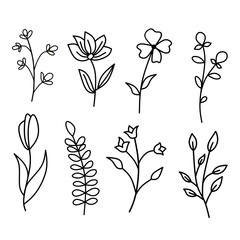 Plant brunches doodle illustration including different tree leaves. Hand drawn cute line art of forest flora - eucalyptus, fern, berries, blueberries. Outline rustic botanical drawing for coloring