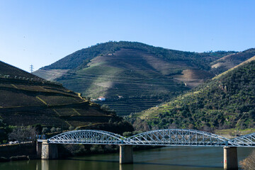 Obraz premium Douro valley, Portugal