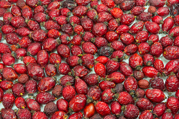 Dried rose hips. close-up