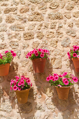 Fototapeta na wymiar Exterior stone wall decorated with hanging ceramic flower pots in Valdemossa medieval village, Mallorca, Balearic Islands, Spain