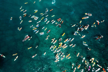 Many surfers in blue water hawaii celebration of life paddle out - obrazy, fototapety, plakaty