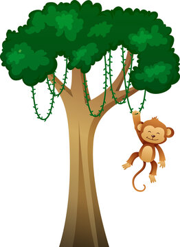 Tree with vine and monkey