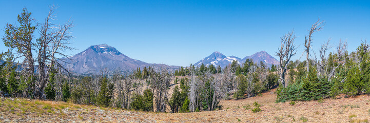 View of The Three Sisters from Tam McArthur Rim Trail. Three Sisters Wilderness, Oregon.