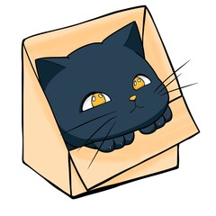 Drawing cat inside box, big eyes 