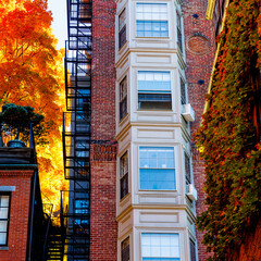 Opposite Acorn St © Photos By Liron