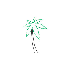 vector illustration of a coconut tree