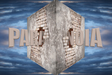 Mental disorder. Word Paranoia passing through brick cube against abstract background