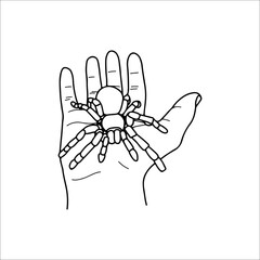 vector illustration of hand with tarantula