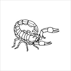 vector illustration of scorpion outline concept