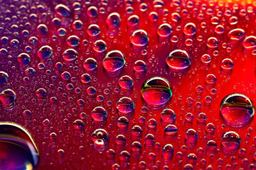 Water drops. Abstract background. Colored macro texture with many drops. Rainbow wet gradient. Heavily textured image. Small depth of field. Selective focus