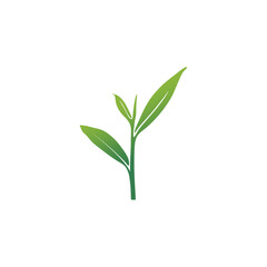 Fototapeta na wymiar tea leaf logo design vector illustration