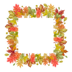 Autumn Leaves Square Template. Watercolor Autumnal Design for Print, Cards, Announcement, Invitation, Advertising, and Various Promotional Material.