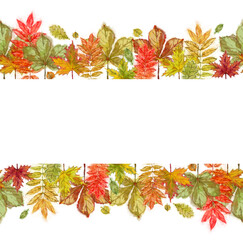 Autumn Leaves Seamless   Banner with Text Copy Space. Watercolor Botanical Illustration for Print, Announcement, Advertising, Banner, POP Display, and Creative Design.