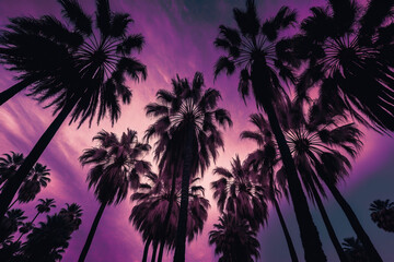 Fototapeta na wymiar palm tress with purple sky