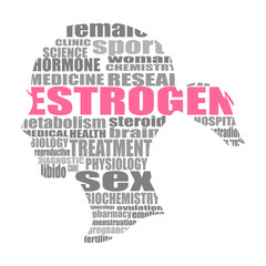 Fototapeta na wymiar Illustration of a woman head textured by words. Estrogen relative tags or keywords cloud