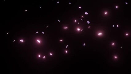 舞い散る桜の花びら（黒背景_光追加）3Dアニメーション