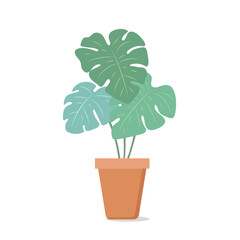 Home plant in a pot. Isolated on a white background. Vector illustration in flat style.