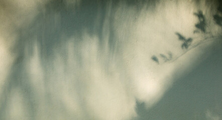 Shadow tropical leaves on white concrete wall background. Minimal summer exotic concept with copy space. Border arrangement.