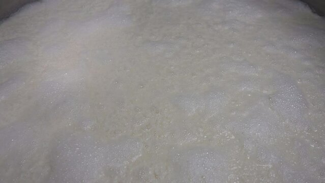 Kyoto, Japan - Feburuay 21, 2023: Bubble of carbon dioxide from sake malt during sake fermentation process
