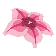 Colorful abstract flower icon. Vector illustration isolated on white background.