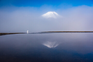 山中湖から富士山とサギ鳥