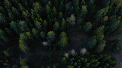 Cinematic aerial shot of an endless hills and forest landscape in southern Slovenia. Clip. Flying above summer dense forest.