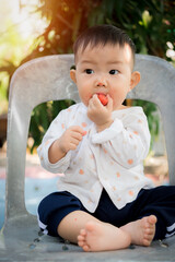 Cute little boy eats strawberries, asia baby eating strawberry on chair outdoor