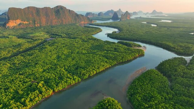 beautiful Jungle in Thailand at sunrise, Phang nga bay aerial view, tourism in Thailand, scenic Thai nature, rainforest ecosystem with river meander in the tropics