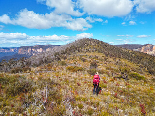 Woman hiking across an exposed hill high in the upper Blue Mountains - 577606809