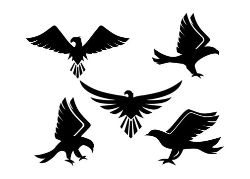 Set Eagle silhouette isolated on white. This vector illustration can be used as a print on t-shirts, tattoo element or other uses
