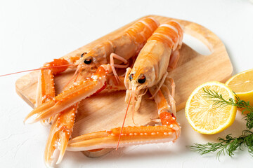 新鮮なスカンピ（手長海老）