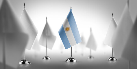 The national flag of the Argentina surrounded by white flags