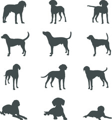 American foxhound dog silhouettes, American foxhound silhouette, American foxhound Svg, American foxhound vector