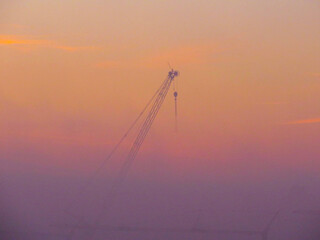 Majestic Crane: Captured Through a Foggy Morning's Haze