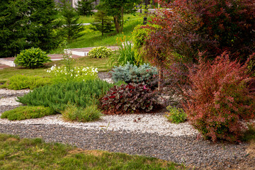 A fragment of a public park with a gravel garden. Perennial plants in landscape design.